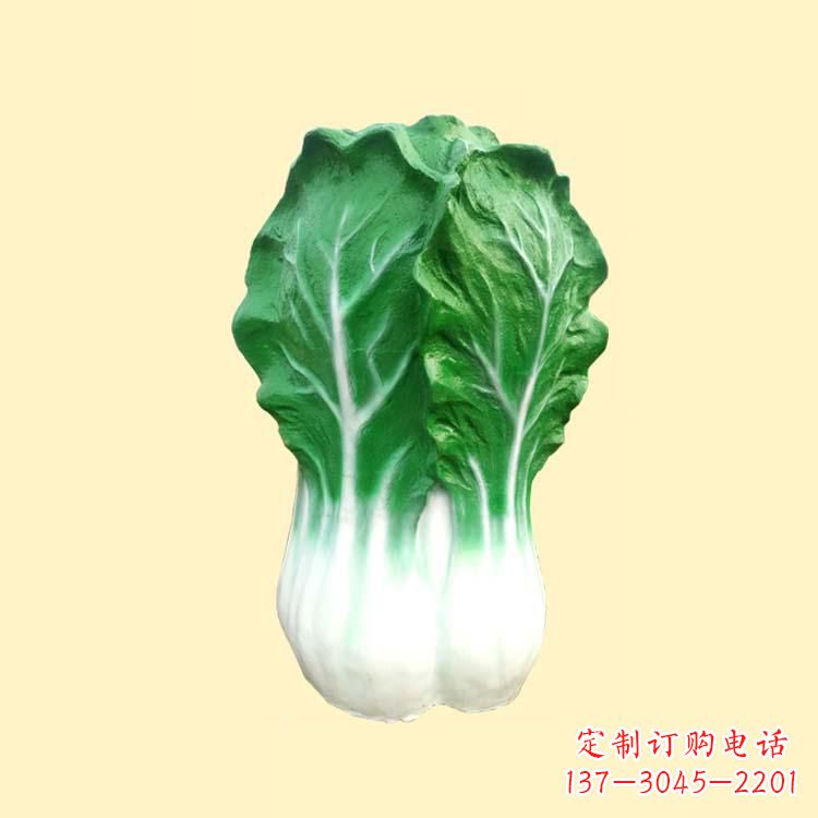 贵州白菜智能投影仪——让你的生活更加精彩