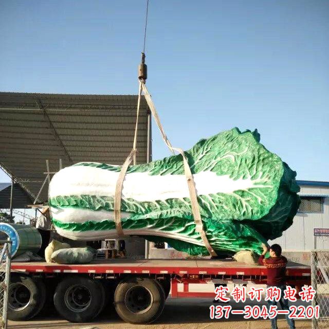 贵州白菜之美——给你一份独特的食材