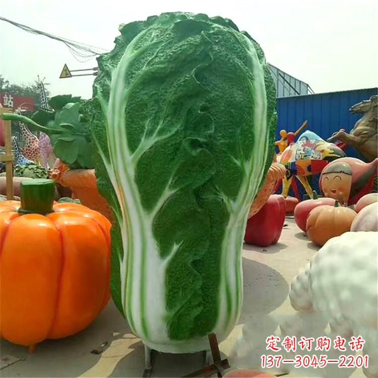 贵州白菜精灵