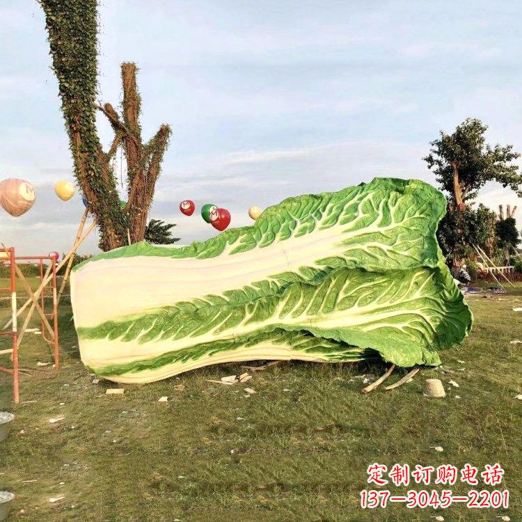 贵州新鲜白菜“精致生活”系列