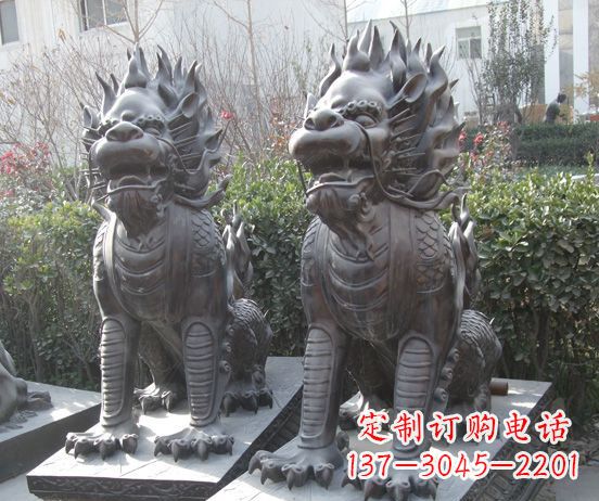 贵州“霸气雄狮”