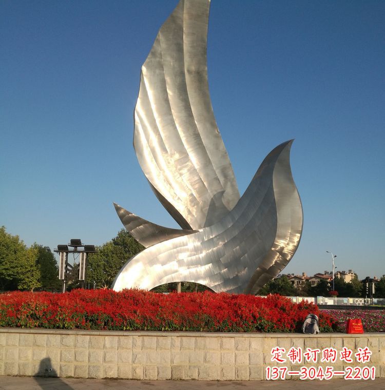 贵州“鸽子之恋”——让爱飞翔