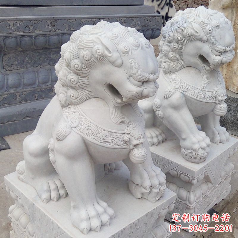 贵州新“北京狮之威”