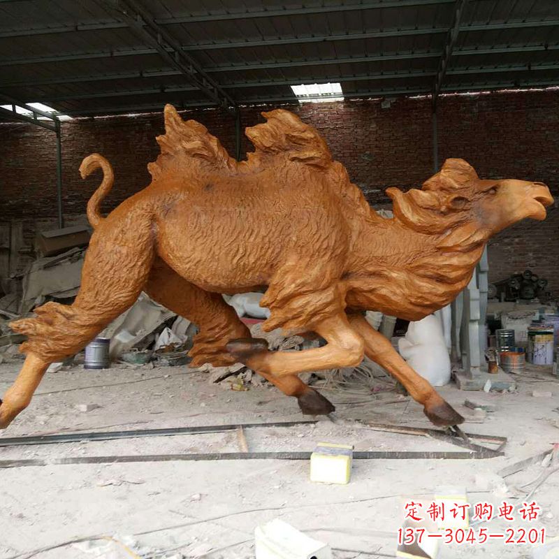 贵州活力四射的骆驼