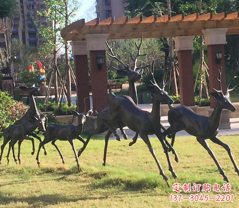 贵州“梅花鹿传递自由与美好”