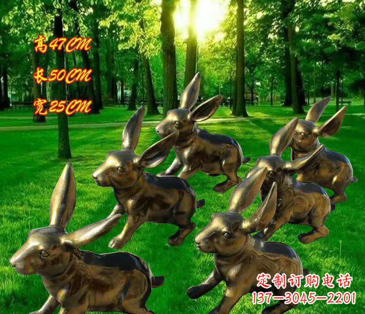 贵州兔子雕塑——激情活力的象征