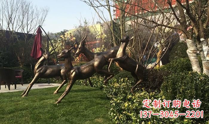 贵州“跃动的小鹿雕塑”
