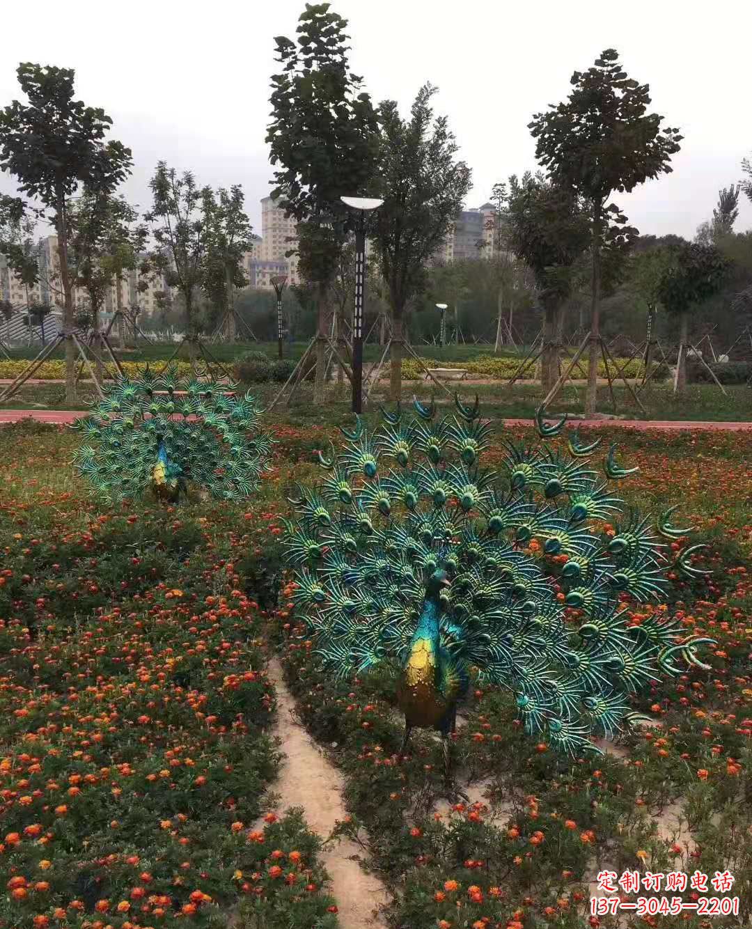 贵州不锈钢彩绘孔雀雕塑