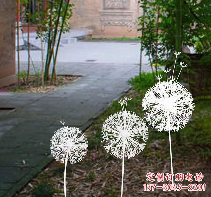 贵州不锈钢蒲公英点亮城市之美