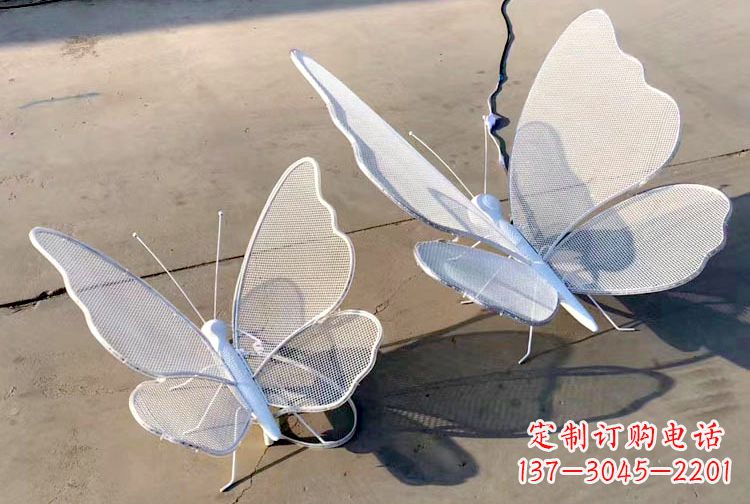 贵州不锈钢钢丝网格蝴蝶雕塑——灯光下的灵动之美
