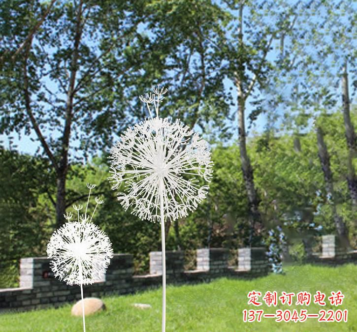 贵州不锈钢广场上的蒲公英雕塑