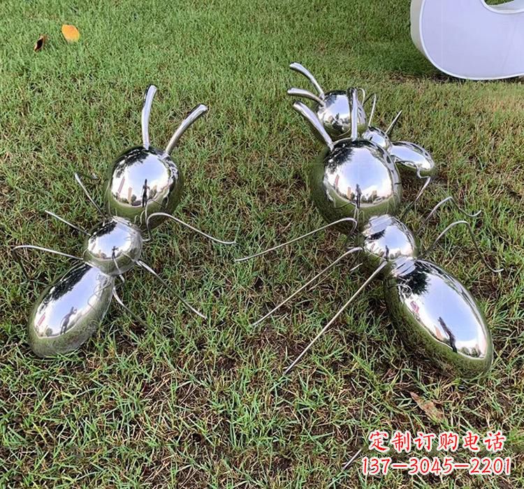 贵州不锈钢蚂蚁雕塑艺术的精美表现