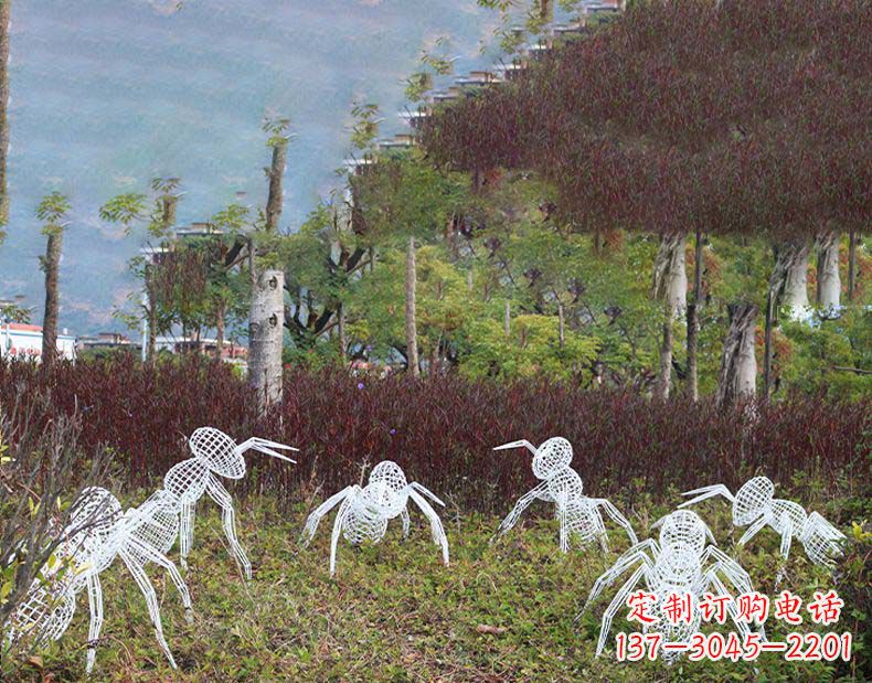 贵州不锈钢蚂蚁镂空雕塑艺术与自然的完美结合