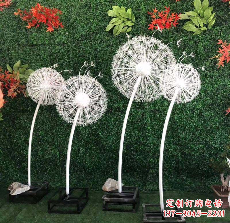 贵州不锈钢蒲公英——折射着自然之美