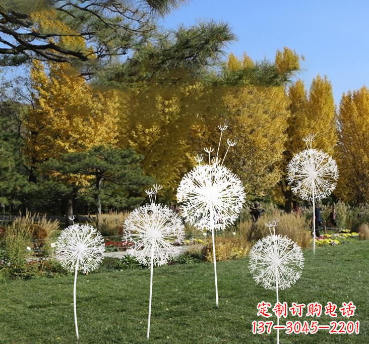 贵州不锈钢蒲公英景观雕塑艺术与美的完美结合