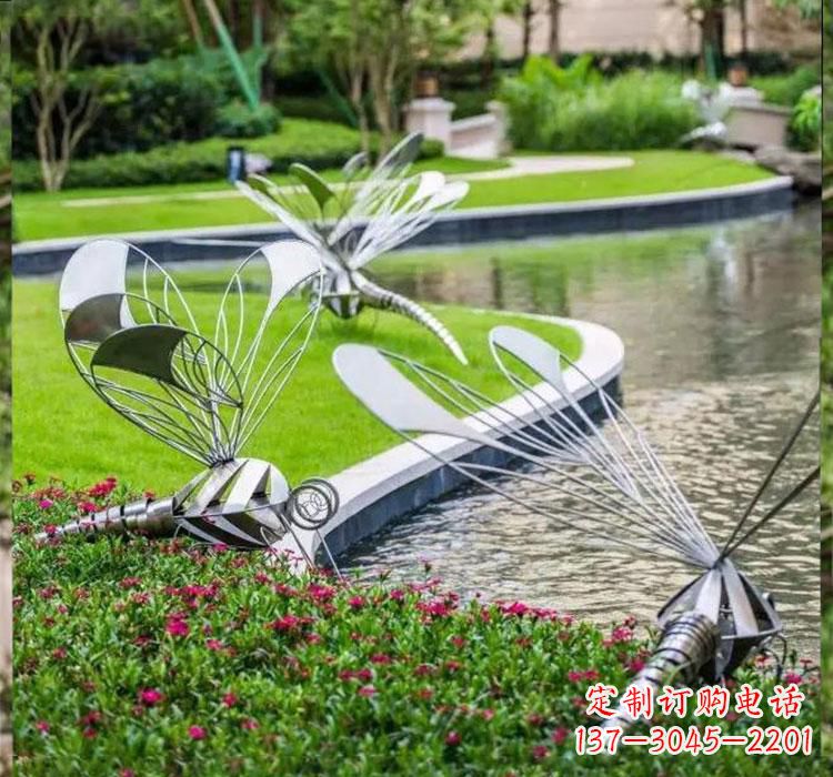贵州不锈钢蜻蜓一件完美的动物雕塑