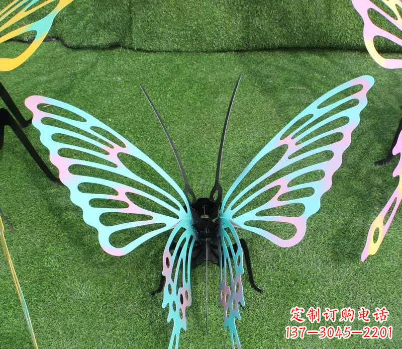 贵州彩色不锈钢镂空蝴蝶雕塑精美又充满生机