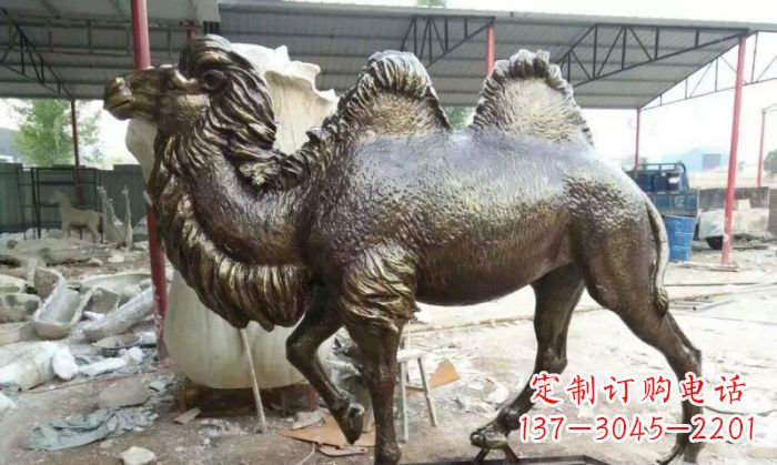 贵州动物骆驼铜雕