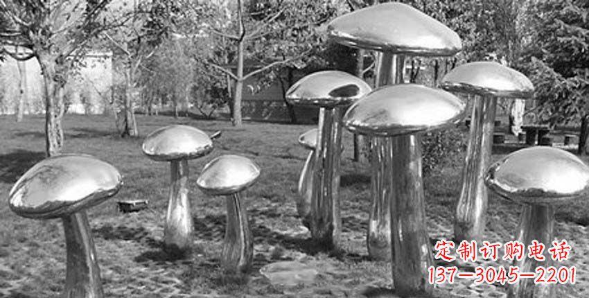 贵州萌芽之美,蘑菇景观雕塑