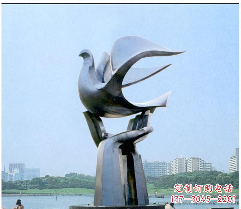 贵州静谧之鸽,传递和平象征~