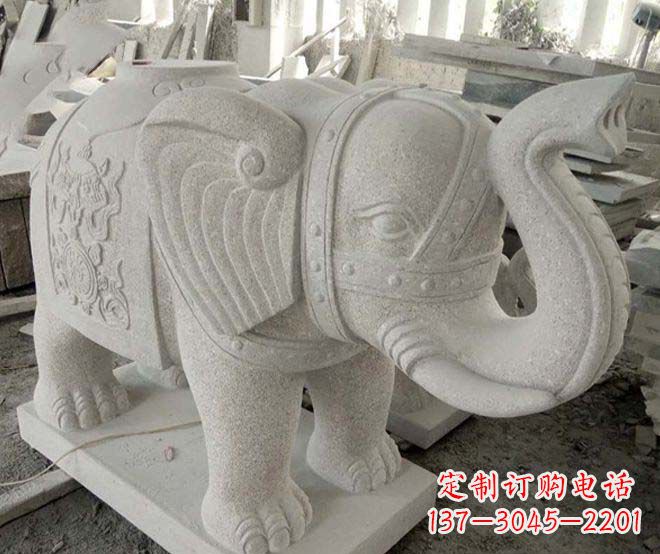 贵州令人惊叹的大象石雕