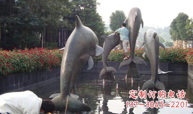 贵州铜雕海豚——传递着海洋之美的艺术作品