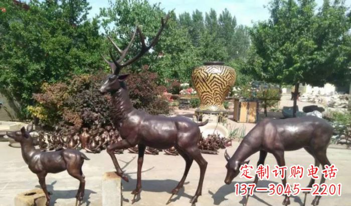 贵州公园鹿动物铜雕 (2)