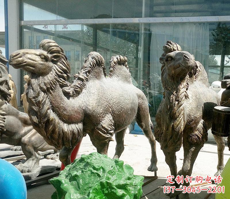 贵州公园骆驼动物铜雕 (2)