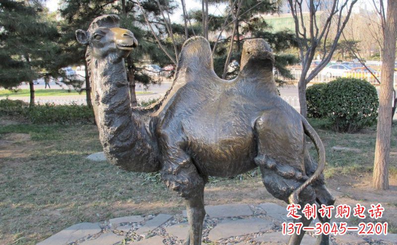 贵州铜骆驼雕塑——浓缩自然美丽