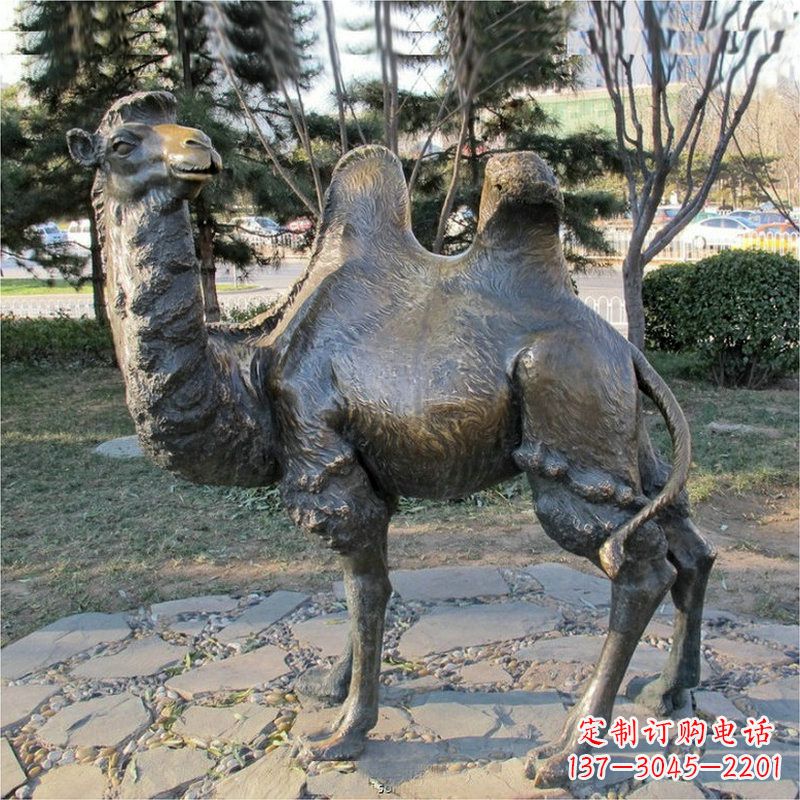 贵州公园骆驼动物铜雕摆件