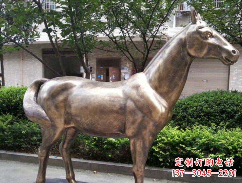 贵州精美铜雕动物
