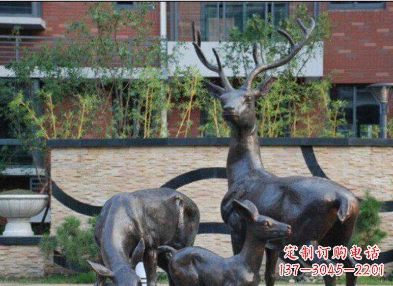 贵州古雅优雅的梅花鹿铜雕