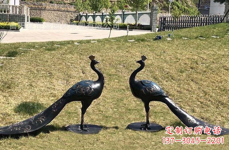 贵州公园青铜孔雀雕塑