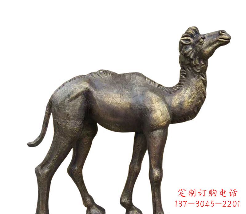 贵州奇美洁净的骆驼铜雕