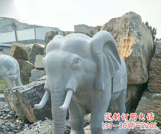 贵州广场景观大理石大象石雕 (2)