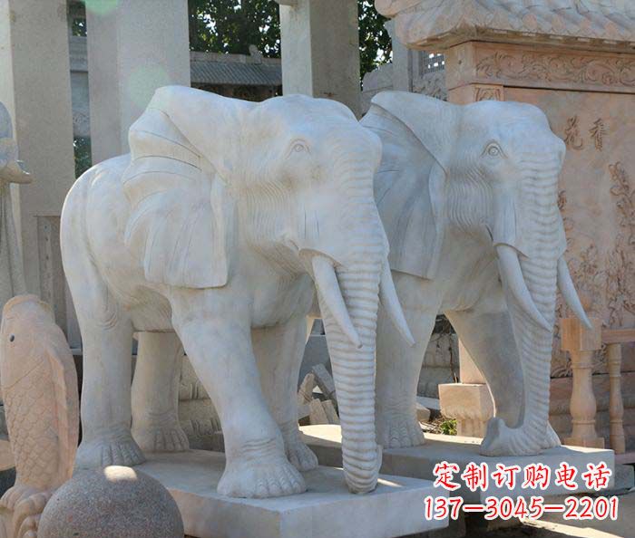 贵州广场景观大理石大象石雕 (3)