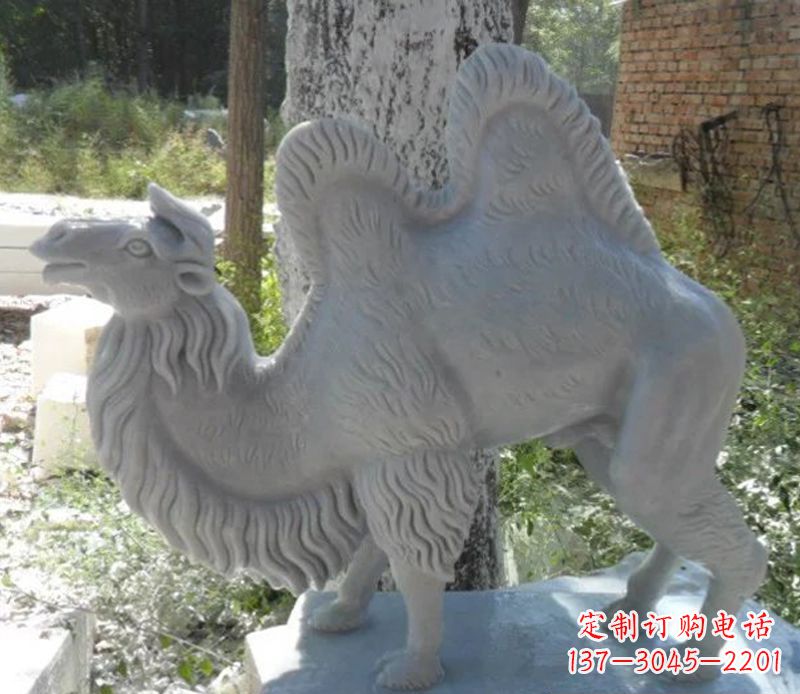 贵州汉白玉骆驼雕,融入古朴奢华