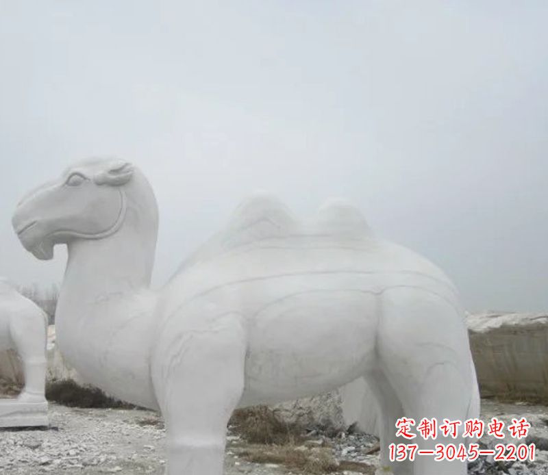 贵州汉白玉骆驼石雕塑,装点家居空间