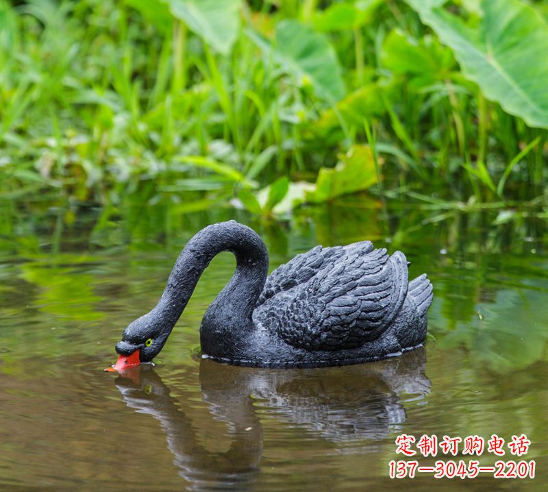 贵州黑天鹅雕塑,水塘装饰摆件