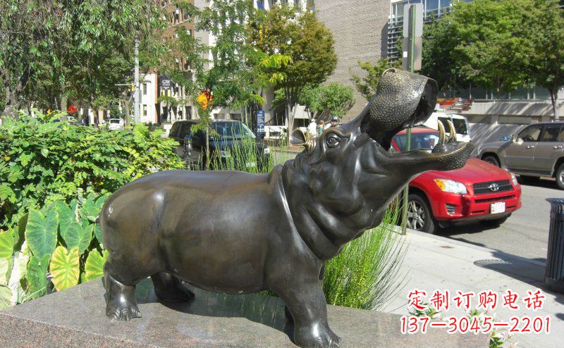 贵州街边河马景观铜雕