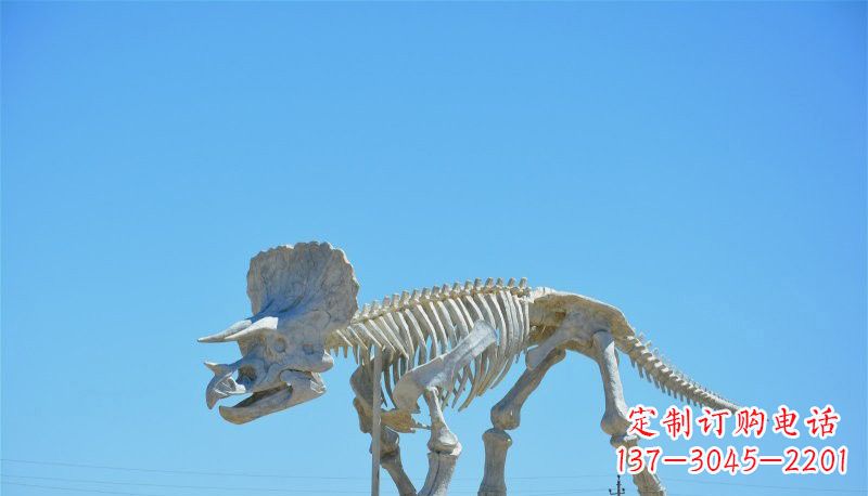 贵州玻璃钢恐龙雕塑——悠久历史瑰宝