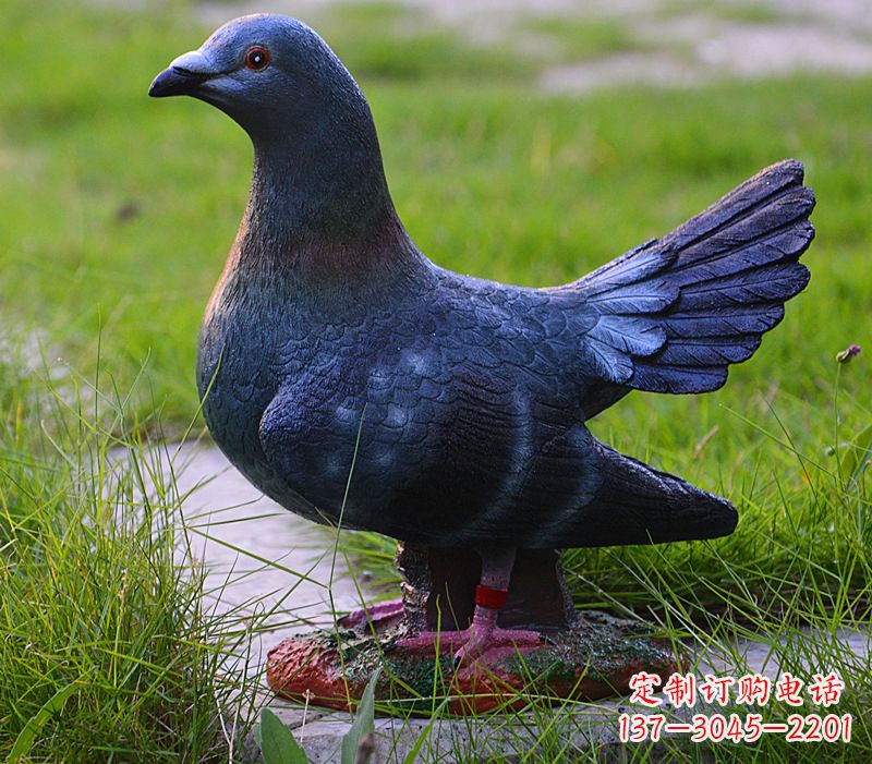 贵州兰州和平鸽的雕塑