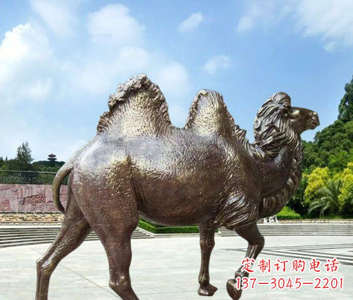 贵州欣赏骆驼美感,购买骆驼铜雕