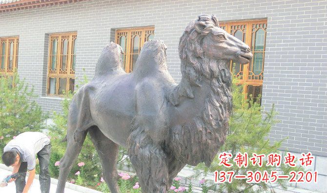 贵州精美的骆驼铜雕,提升您的公园气质