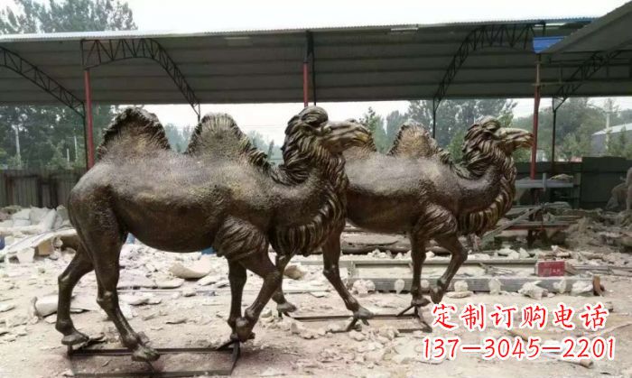 贵州典雅优美的骆驼铜雕