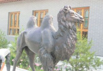 贵州精美的骆驼铜雕，提升您的公园气质