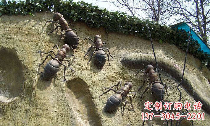 贵州答案(不计入500字)