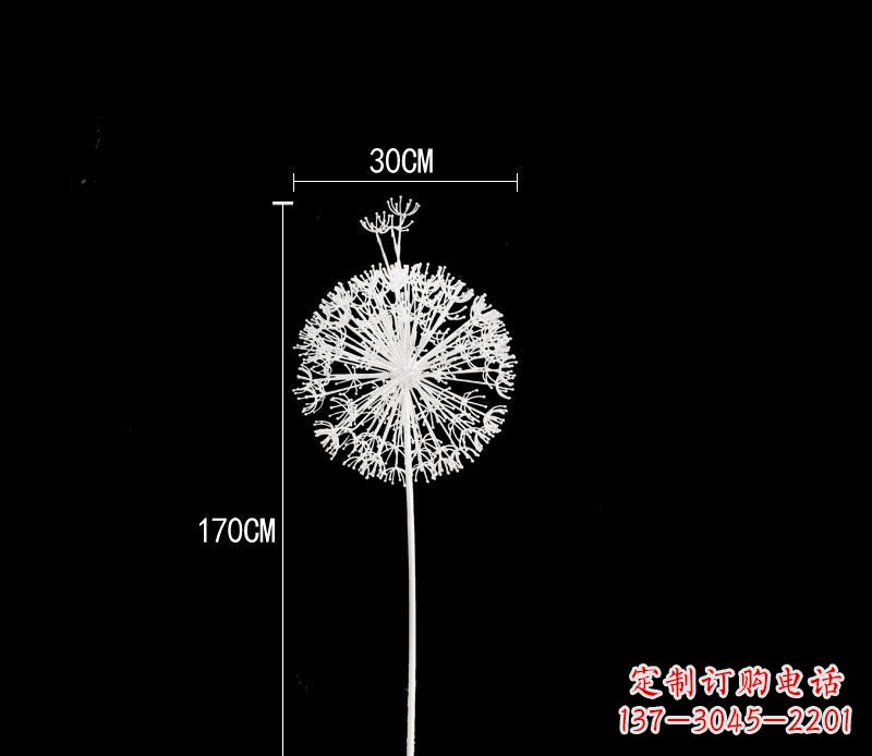 贵州美观耐用的不锈钢蒲公英雕塑