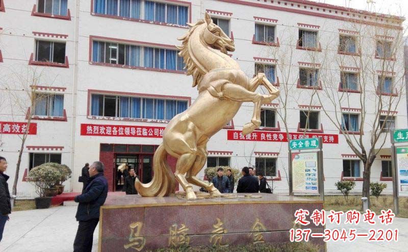 贵州定制化高品质动物铜雕