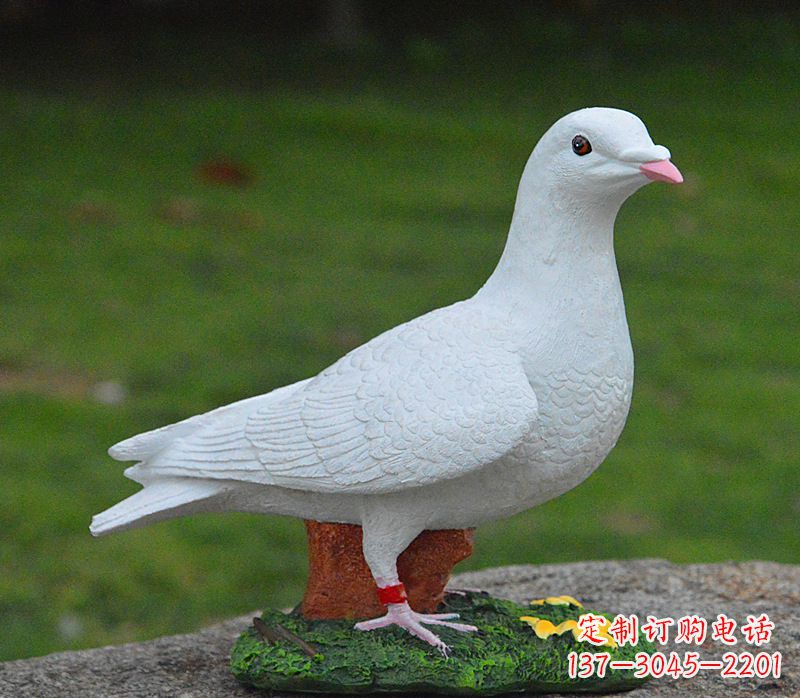 贵州美丽的和平鸽雕塑,传递暖暖的正能量